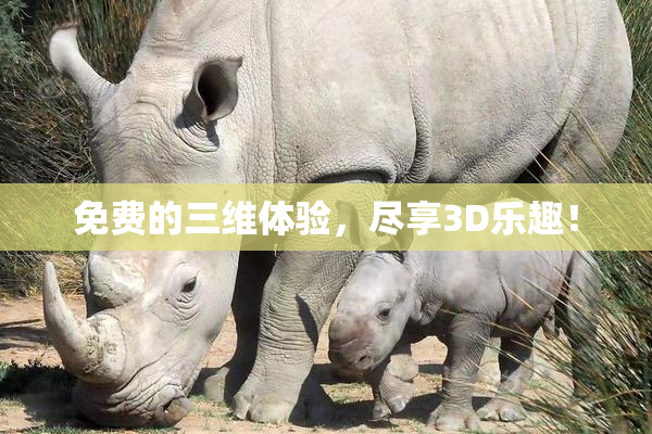 免费的三维体验，尽享3D乐趣！