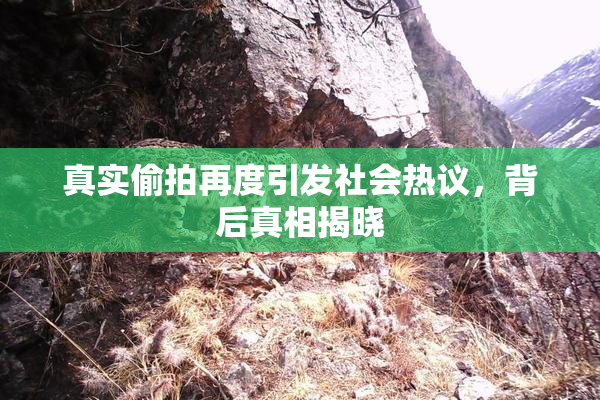 真实偷拍再度引发社会热议，背后真相揭晓