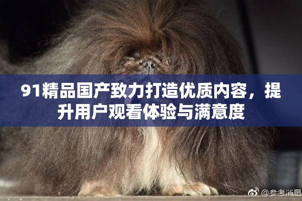 91精品国产致力打造优质内容，提升用户观看体验与满意度