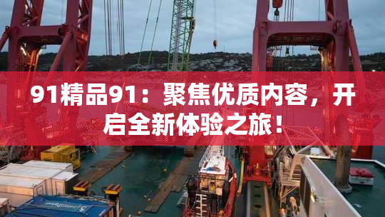 91精品91：聚焦优质内容，开启全新体验之旅！