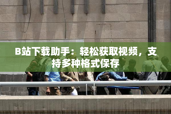 B站下载助手：轻松获取视频，支持多种格式保存