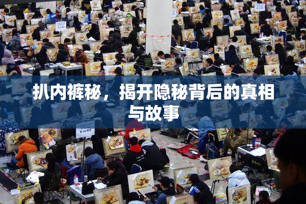 扒内裤秘，揭开隐秘背后的真相与故事