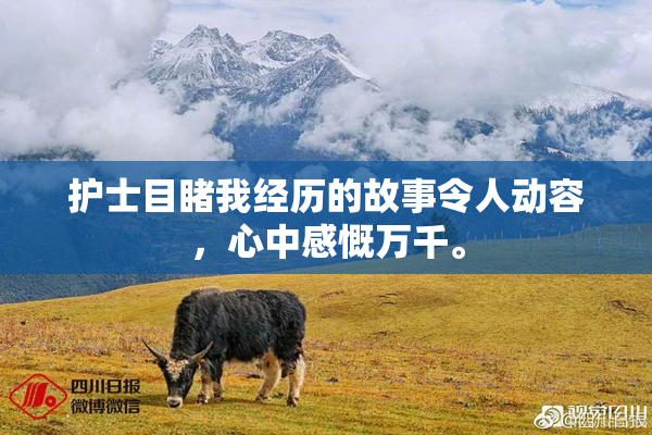 护士目睹我经历的故事令人动容，心中感慨万千。