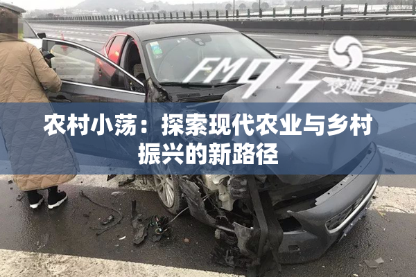 农村小荡：探索现代农业与乡村振兴的新路径