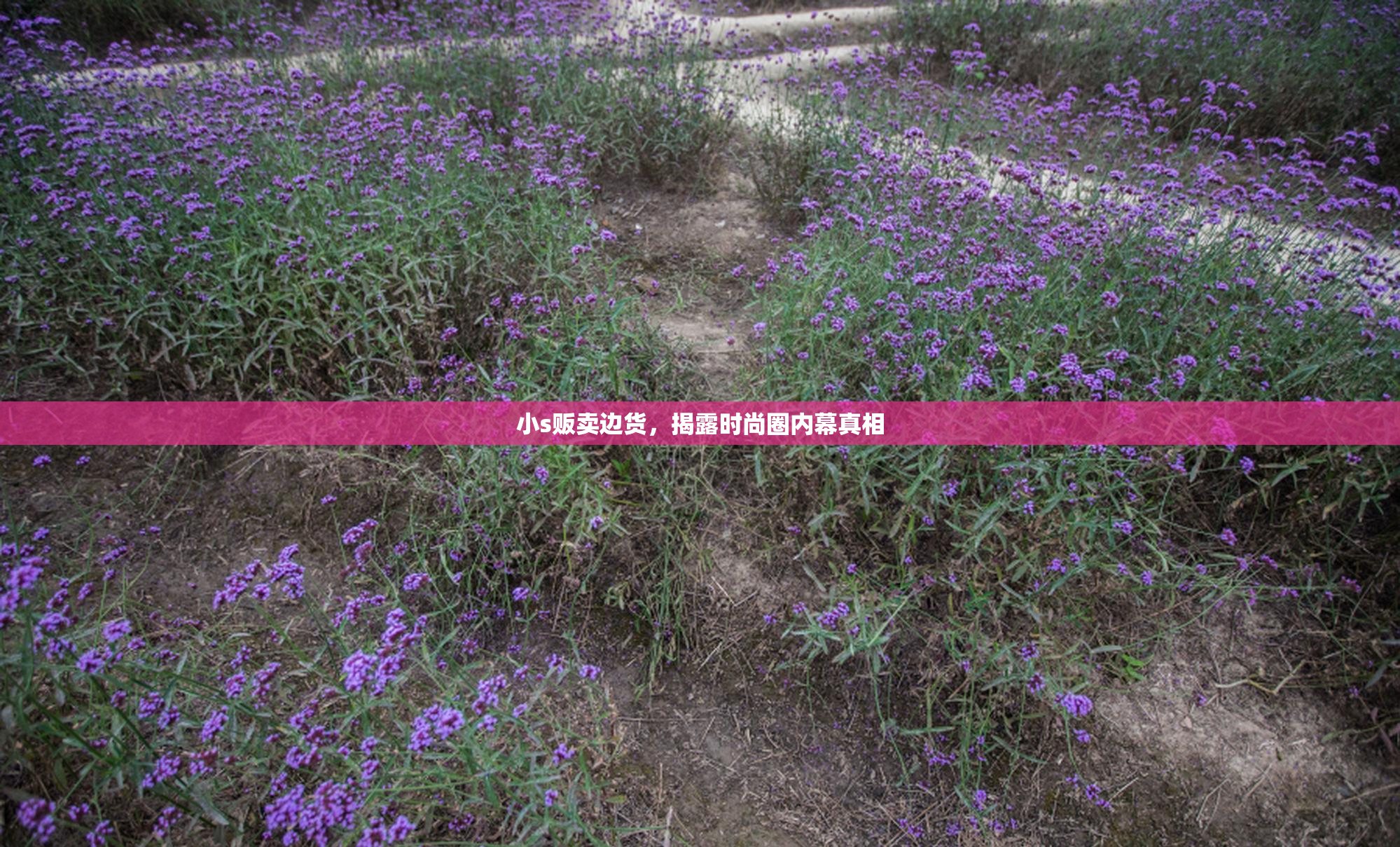 小s贩卖边货，揭露时尚圈内幕真相
