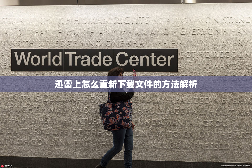 迅雷上怎么重新下载文件的方法解析