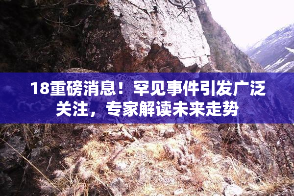 18重磅消息！罕见事件引发广泛关注，专家解读未来走势