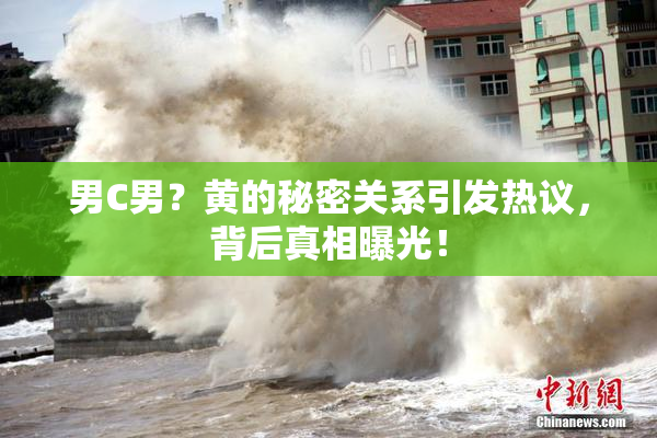 男C男？黄的秘密关系引发热议，背后真相曝光！