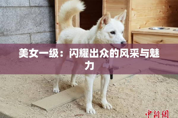 美女一级：闪耀出众的风采与魅力