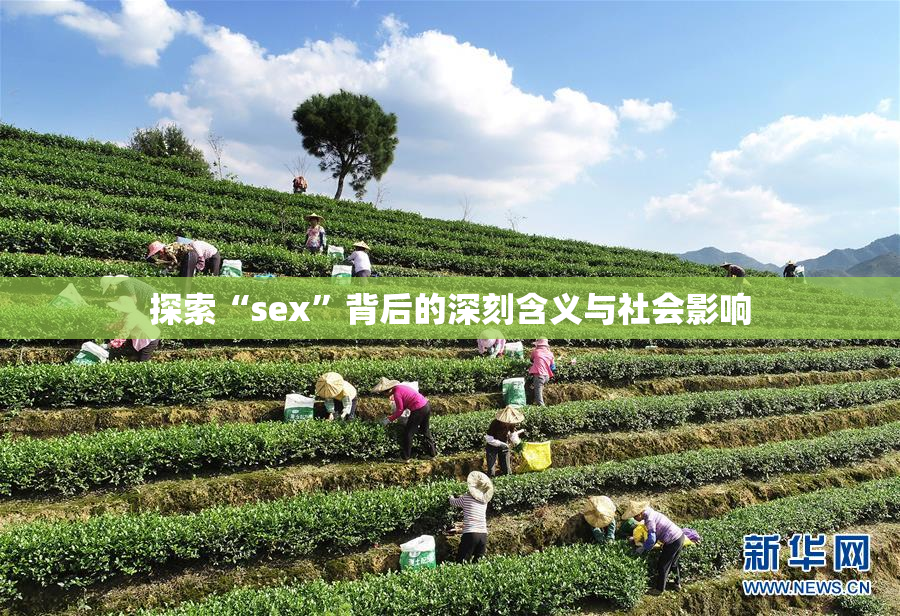 探索“sex”背后的深刻含义与社会影响