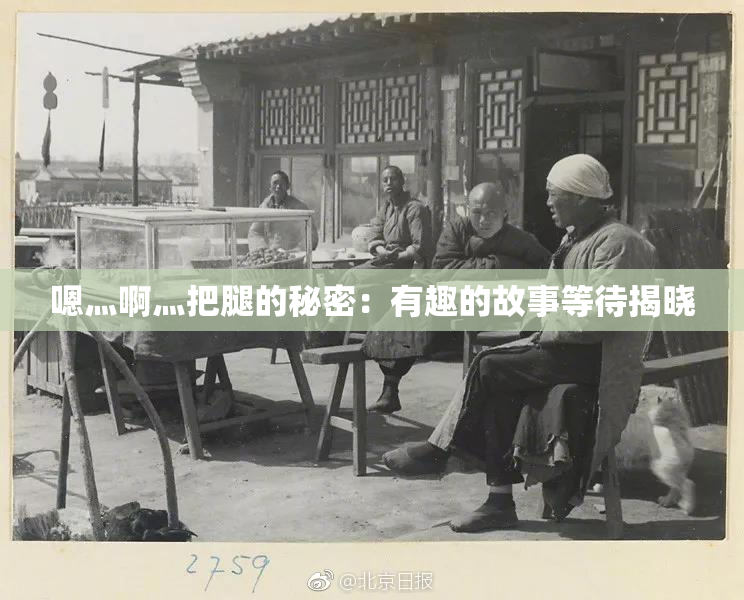 嗯灬啊灬把腿的秘密：有趣的故事等待揭晓