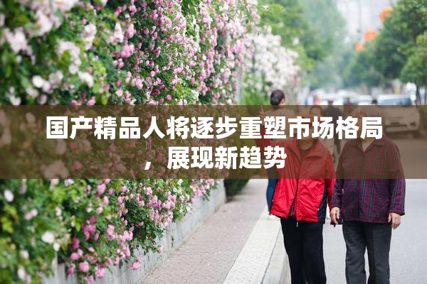 国产精品人将逐步重塑市场格局，展现新趋势
