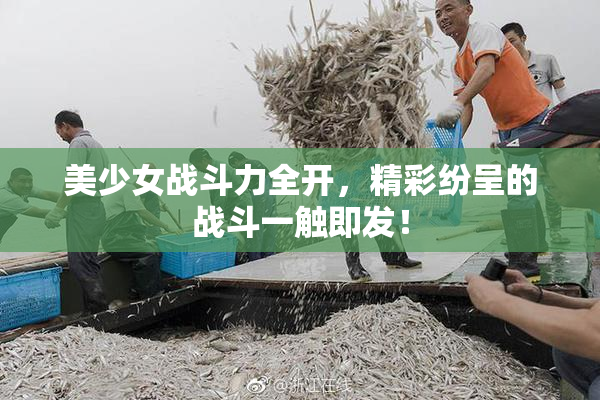 美少女战斗力全开，精彩纷呈的战斗一触即发！