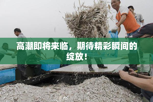 高潮即将来临，期待精彩瞬间的绽放！