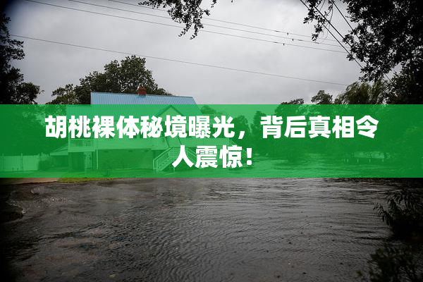 胡桃裸体秘境曝光，背后真相令人震惊！