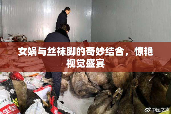 女娲与丝袜脚的奇妙结合，惊艳视觉盛宴