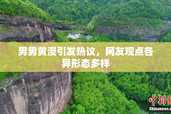 男男黄漫引发热议，网友观点各异形态多样
