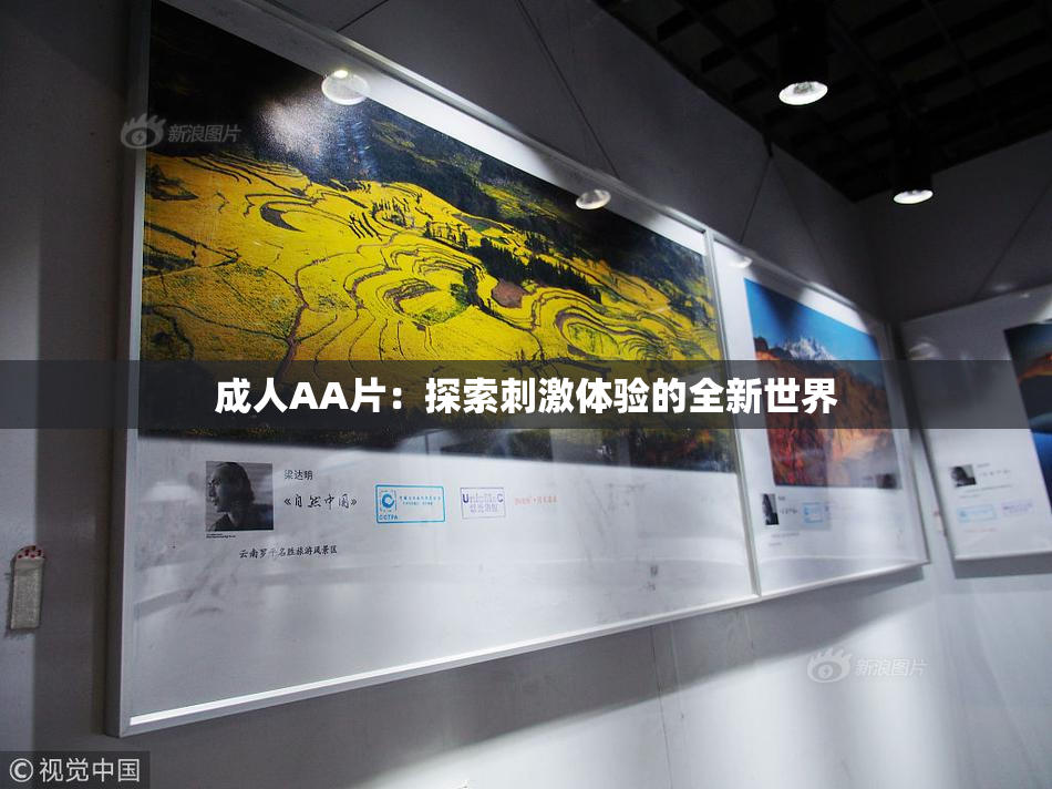 成人AA片：探索刺激体验的全新世界