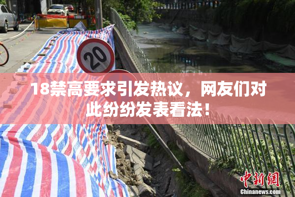 18禁高要求引发热议，网友们对此纷纷发表看法！