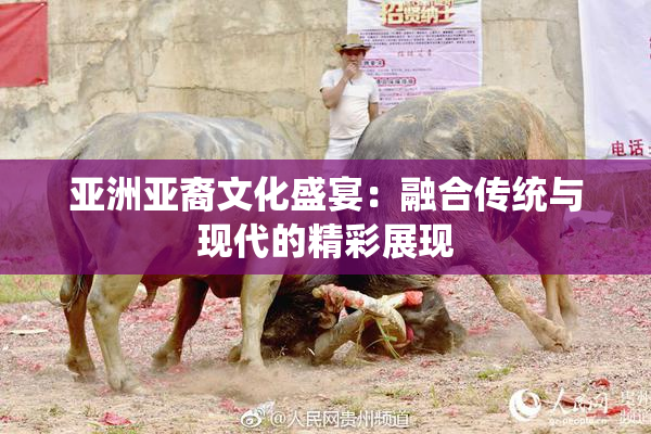 亚洲亚裔文化盛宴：融合传统与现代的精彩展现