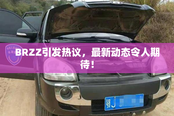 BRZZ引发热议，最新动态令人期待！