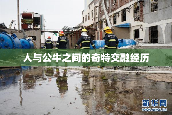 人与公牛之间的奇特交融经历