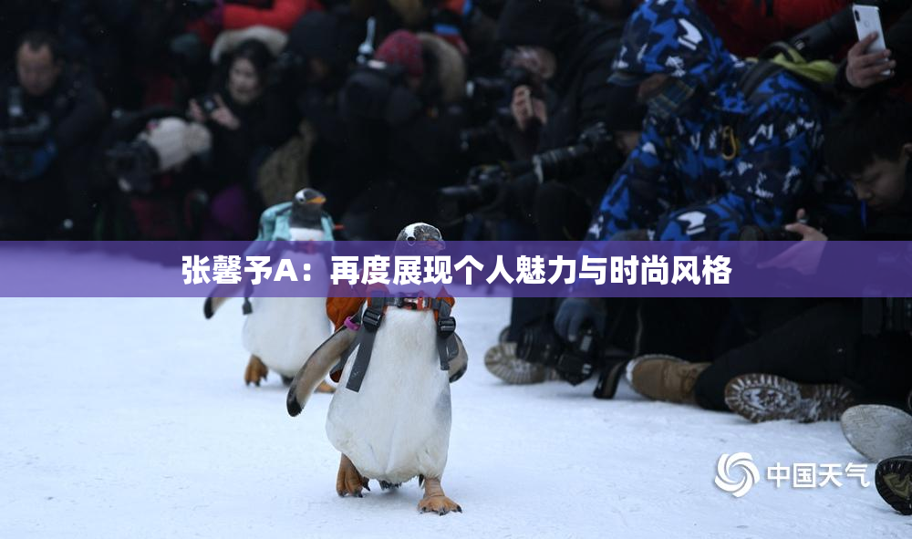 张馨予A：再度展现个人魅力与时尚风格
