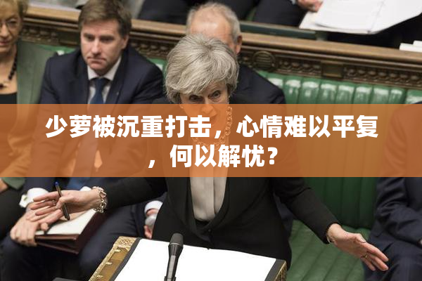 少萝被沉重打击，心情难以平复，何以解忧？