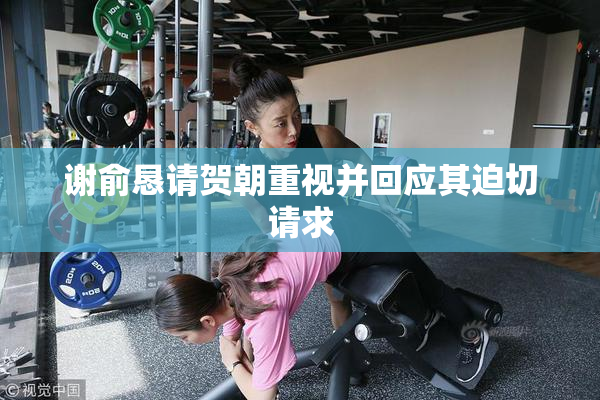 谢俞恳请贺朝重视并回应其迫切请求