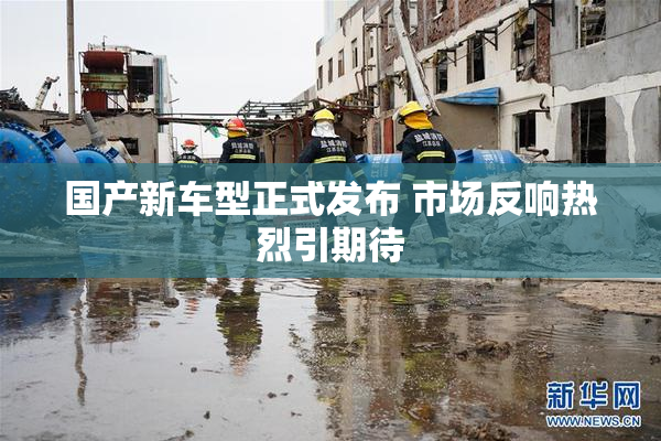 国产新车型正式发布 市场反响热烈引期待