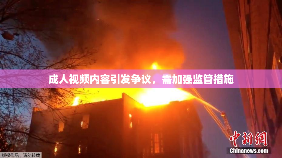 成人视频内容引发争议，需加强监管措施