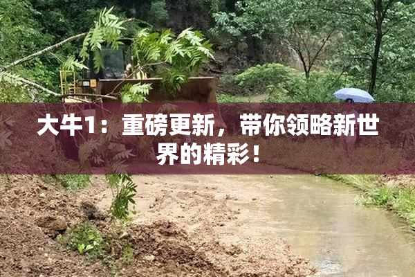 大牛1：重磅更新，带你领略新世界的精彩！