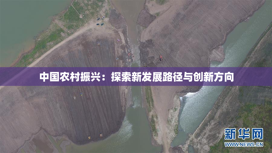 中国农村振兴：探索新发展路径与创新方向