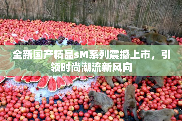 全新国产精品sM系列震撼上市，引领时尚潮流新风向
