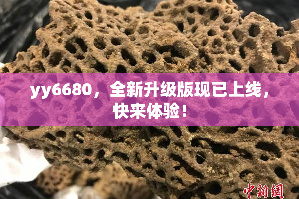 yy6680，全新升级版现已上线，快来体验！