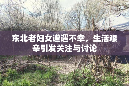 东北老妇女遭遇不幸，生活艰辛引发关注与讨论