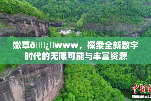 嫩草🌿‌www，探索全新数字时代的无限可能与丰富资源