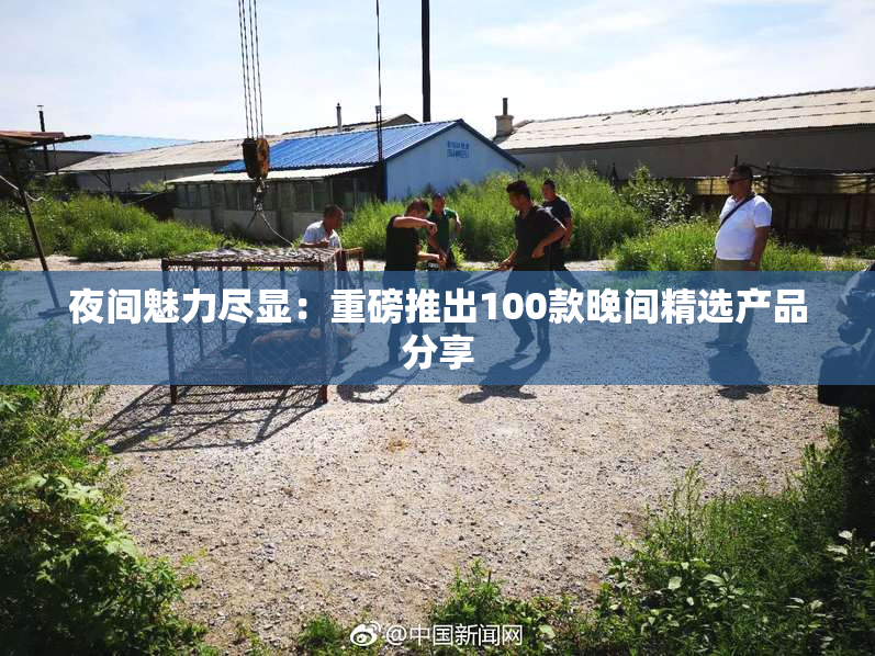 夜间魅力尽显：重磅推出100款晚间精选产品分享