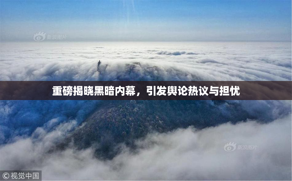 重磅揭晓黑暗内幕，引发舆论热议与担忧