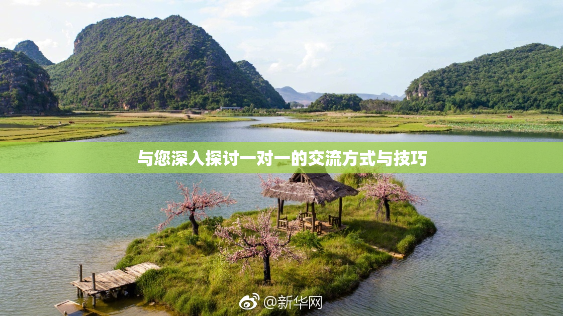 与您深入探讨一对一的交流方式与技巧