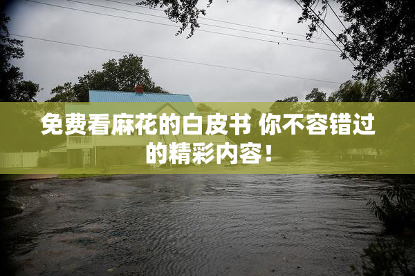 免费看麻花的白皮书 你不容错过的精彩内容！
