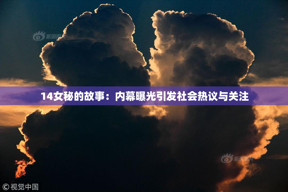 14女秘的故事：内幕曝光引发社会热议与关注