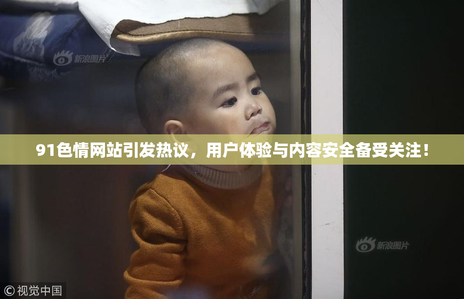 91色情网站引发热议，用户体验与内容安全备受关注！