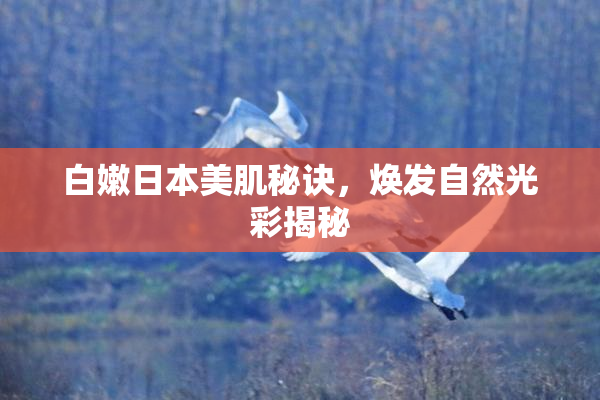 白嫩日本美肌秘诀，焕发自然光彩揭秘