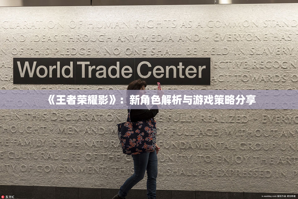 《王者荣耀影》：新角色解析与游戏策略分享