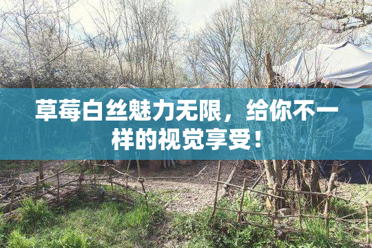 草莓白丝魅力无限，给你不一样的视觉享受！