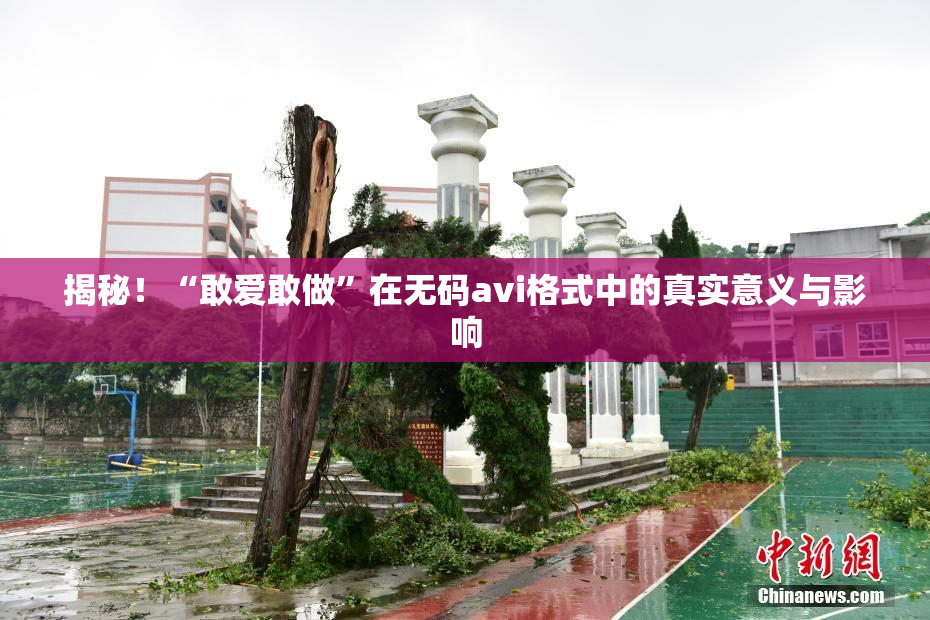 揭秘！“敢爱敢做”在无码avi格式中的真实意义与影响
