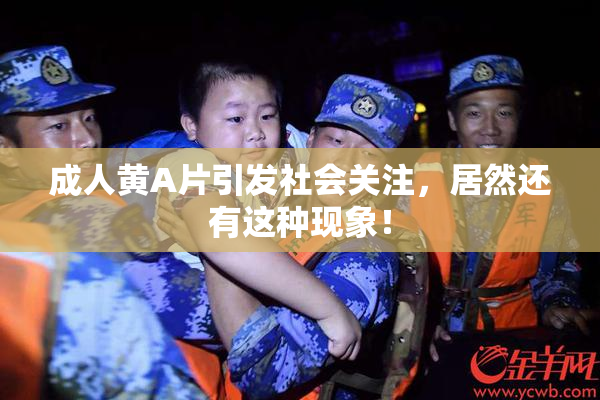 成人黄A片引发社会关注，居然还有这种现象！