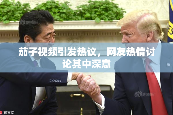 茄子视频引发热议，网友热情讨论其中深意