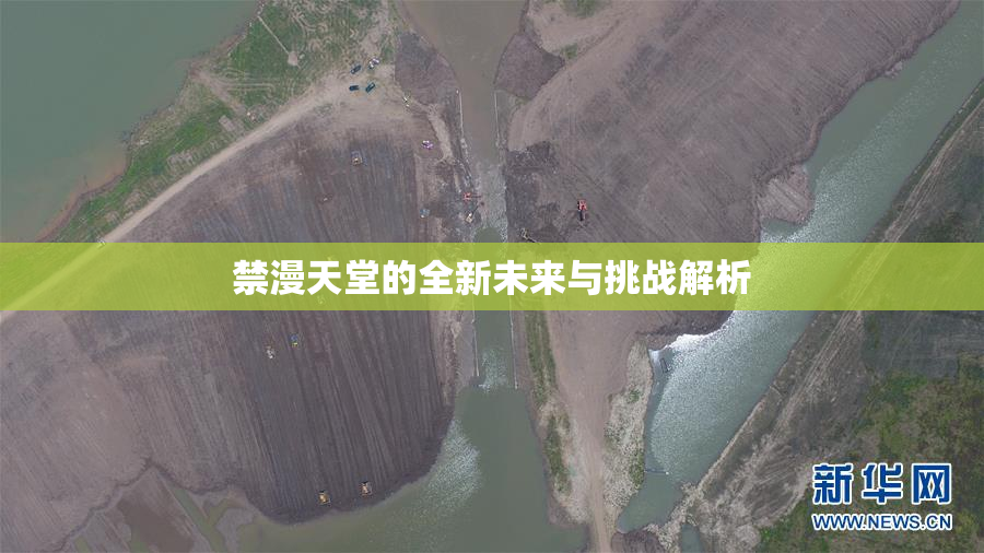 禁漫天堂的全新未来与挑战解析